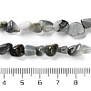 Natural Eagle Eye Stone Beads Strands X-G-P497-01C-52-5