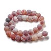 Natural Weathered Agate Beads Strands G-P538-A01-13-3