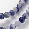 Natural Sodalite Beads Strands GSR4mmC013-4