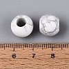 Natural Howlite European Beads G-Q602-09A-06-4