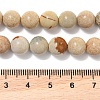 Natural Picture Jasper Beads Strands G-G184-A03-01-5