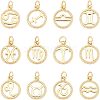 SUPERFINDINGS 12Pcs 12 Style Brass Charms KK-FH0004-40-1