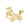 Brass Pendants KK-H539-19B-G-2