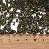 Spray Painted Glass Seed Beads SEED-F005-07A-03-4