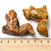 Natural Crazy Agate Carved Healing Squirrel Figurines DJEW-D012-01F-3