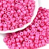 Opaque Baking Paint Glass Seed Beads SEED-T008-02I-1