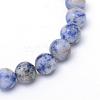 Round Dyed Natural Blue Spot Jasper Bead Strands G-R345-6mm-14-2