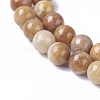 Natural Fossil Coral Beads Strands G-F648-01-B-3