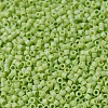 MIYUKI Delica Beads SEED-JP0008-DB0876-3