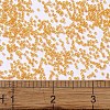 MIYUKI Delica Beads SEED-X0054-DB2045-4