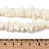 Natural White Mother of Pearl Shell Chip Bead Strands G-M205-63-6