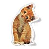 50 Pieces Realistic Paper  Stickers STIC-R001-22-2