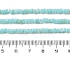 Natural Freshwater Shell Beads Strands SHEL-P017-01B-03-4