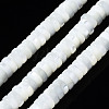 Natural Trochid Shell/Trochus Shell Beads Strands SSHEL-S266-019A-02-1