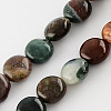 Natural Indian Agate Stone Beads Strands G-S110-14mm-01-1