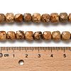 Natural Picture Jasper Beads Strands G-H078-C14-01-5