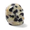 Natural Dalmatian Jasper Beads G-C038-01R-4