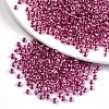 6/0 Glass Seed Beads X-SEED-A015-4mm-2209-1