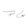 316 Surgical Stainless Steel Earring Hooks STAS-E044-02P-3