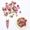 Paper Cabochons MRMJ-R064-02A-1