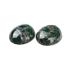 Natural Malachite Cabochons G-E464-42T-3