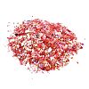 Plastic Candy Sequins/Paillette Chip DIY-I019-01B-2