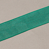 Nylon Organza Ribbon ORIB-R018-20mm-280-2