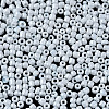 8/0 Glass Seed Beads SEED-S061-A-979-9