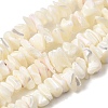Natural White Mother of Pearl Shell Chip Bead Strands X-G-M205-63-2