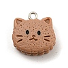 Cookies Theme Imitation Food Resin Pendants X-RESI-B021-02A-02-1