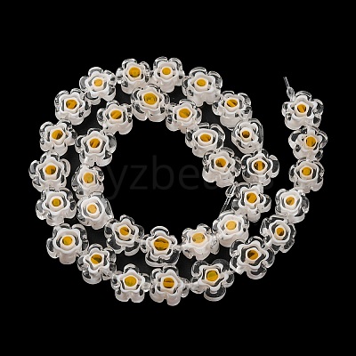 Handmade Millefiori Lampwork Beads Strands LAMP-G164-03O-1