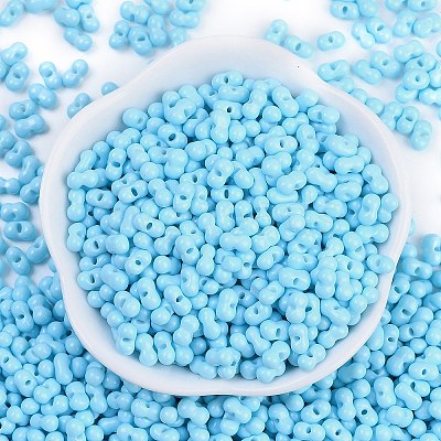 Baking Paint Glass Seed Beads X1-SEED-K010-A20-1
