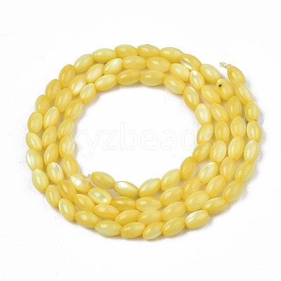 Natural Freshwater Shell Beads Strands SHEL-N003-25-B05-1
