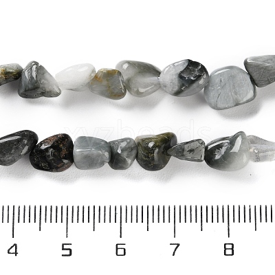 Natural Eagle Eye Stone Beads Strands X-G-P497-01C-52-1