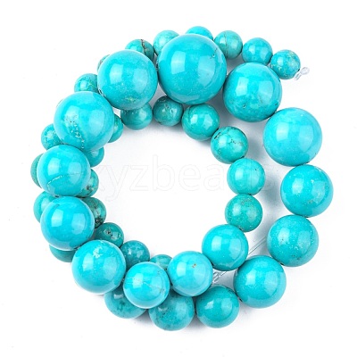 Natural Magnesite Graduated Beads Strands G-F604-01-1