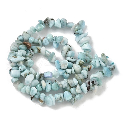 Natural Larimar Beads Strands G-P302-03-1
