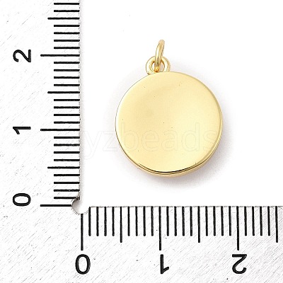 Brass Enamel Pendants KK-A278-02B-G-1