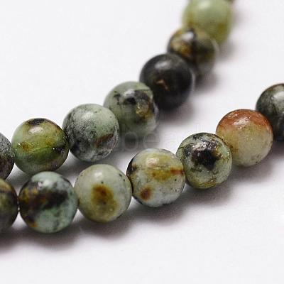 Natural African Turquoise(Jasper) Beads Strands G-D840-90-6mm-1