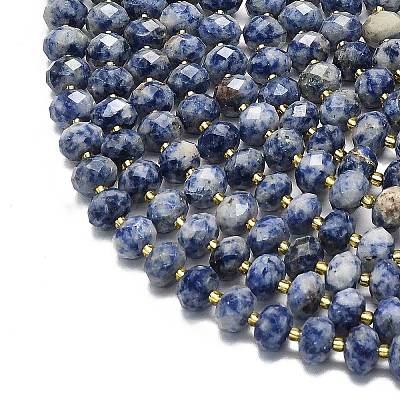 Natural Blue Spot Jasper Beads Strands G-P573-A45-01-1