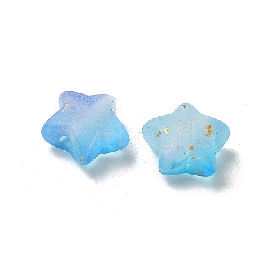 Frosted Acrylic Charms OACR-M023-04F-1