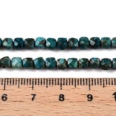 Natural Chrysocolla Beads Strands G-N342-117-1