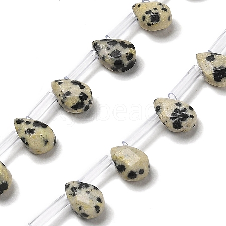 Natural Dalmatian Jasper Beads Strands G-Q167-A20-02-1