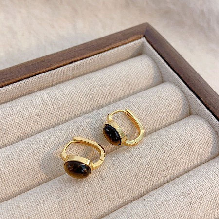 Brass Tiger Eye Hoop Earrings EJEW-B120-05G-02-1