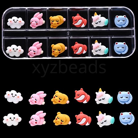 Resin Nail Cabochons with 12 Grid Box MRMJ-S043-055K-1