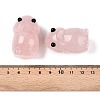 Natural Rose Quartz Monster Figurines DJEW-N003-01I-3