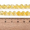 Crackle Transparent Glass Beads Strands GLAA-N068-02A-10-5