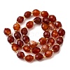 Natural Carnelian Beads Strands G-D305-B03-01-3