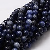 Natural Sodalite Round Beads Strands X-G-E329-10mm-39-1