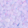 Frosted Glass Seed Beads SEED-N008-05G-3