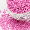 (Repacking Service Available) Baking Paint Glass Seed Beads SEED-C024-A-K2-1